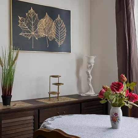 公寓 Plac Konstytucji Homely 华沙